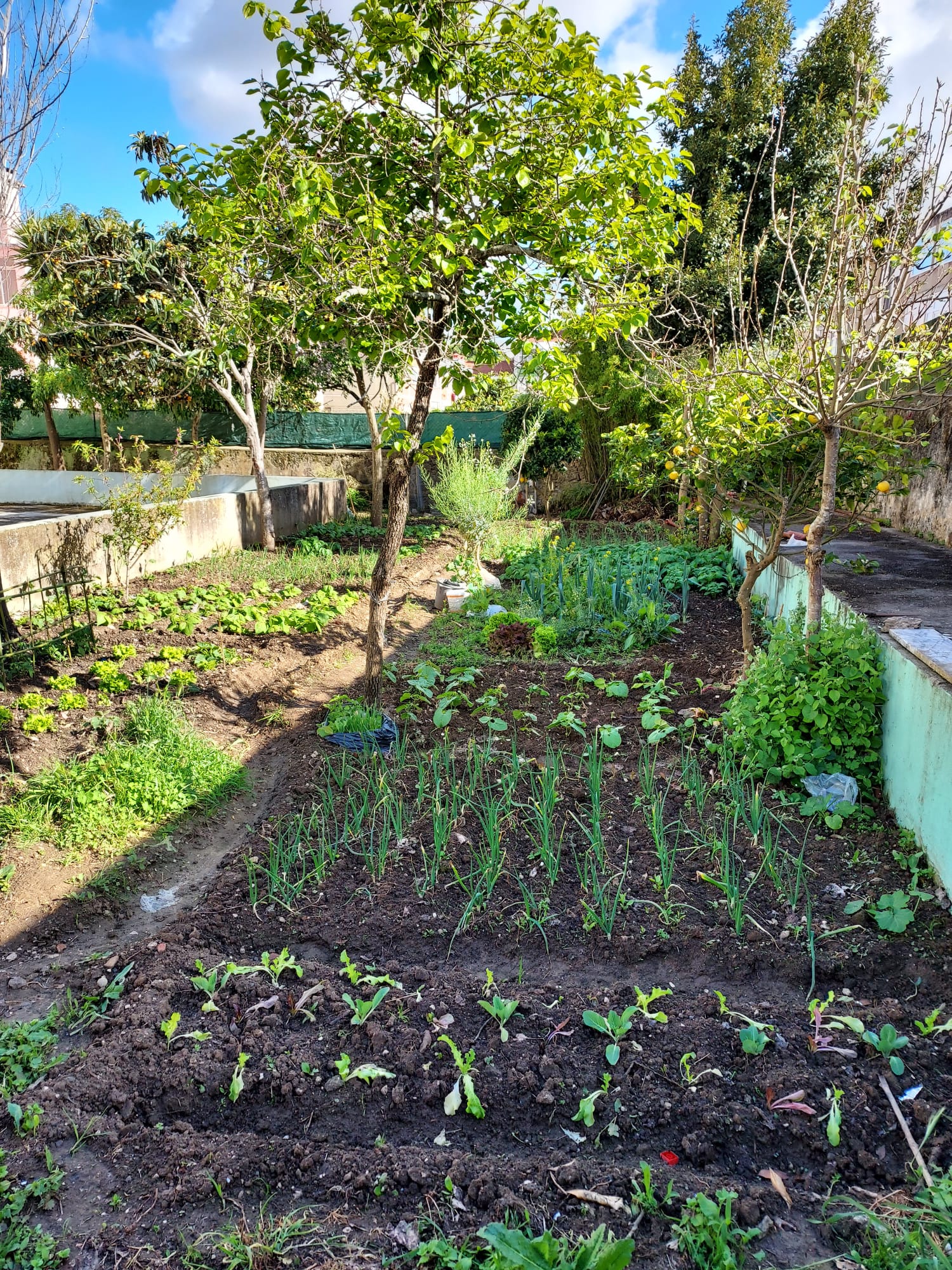 WhatsApp Image 2022-04-26 at 18.48.08 (1)