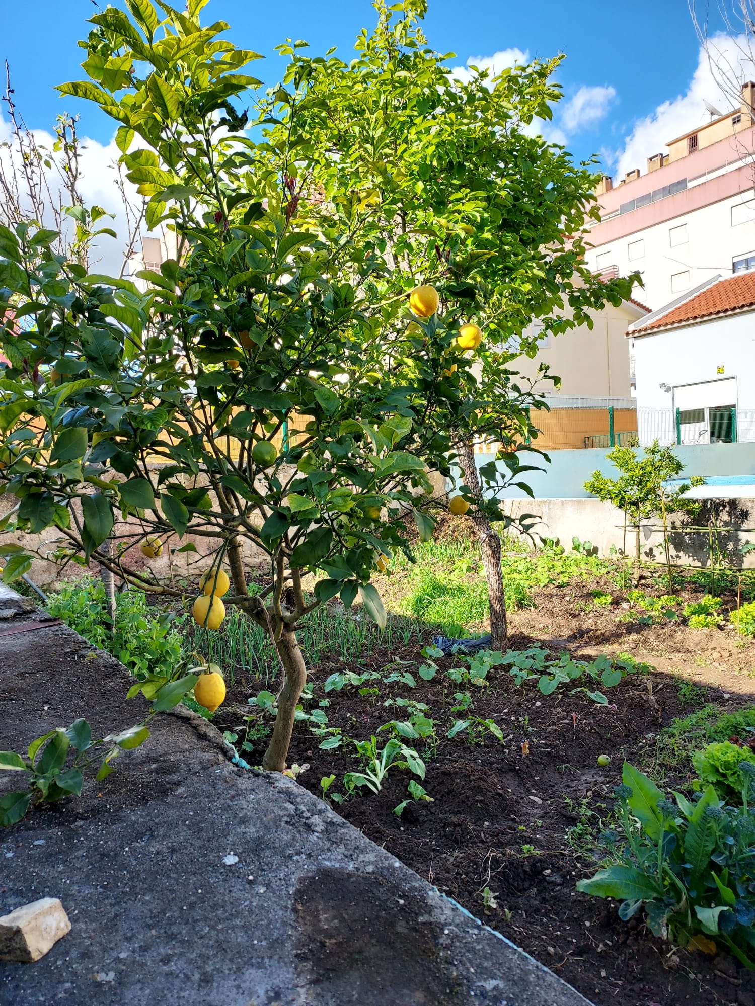 WhatsApp Image 2022-04-26 at 18.48.11