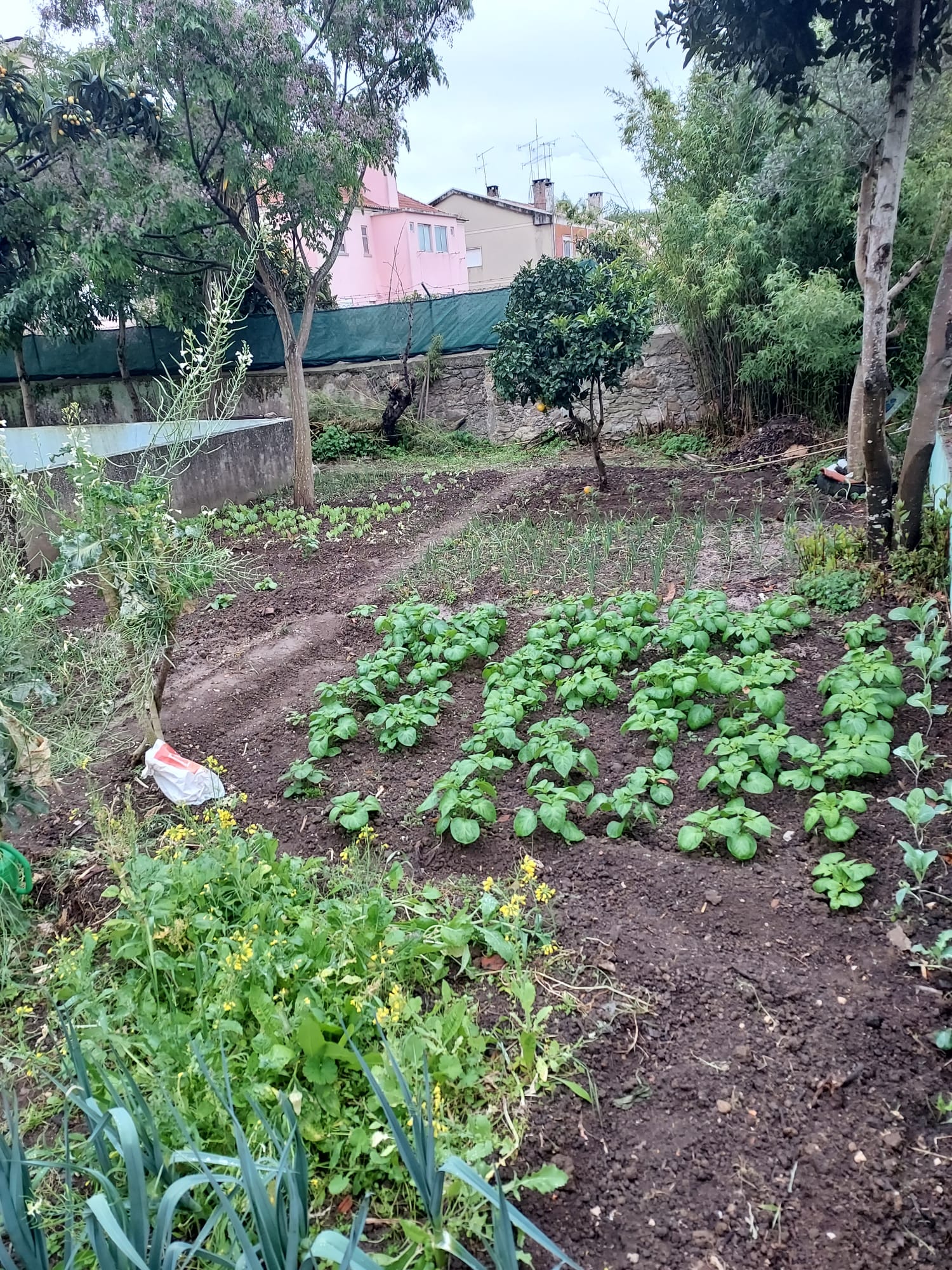 WhatsApp Image 2022-04-26 at 18.48.16